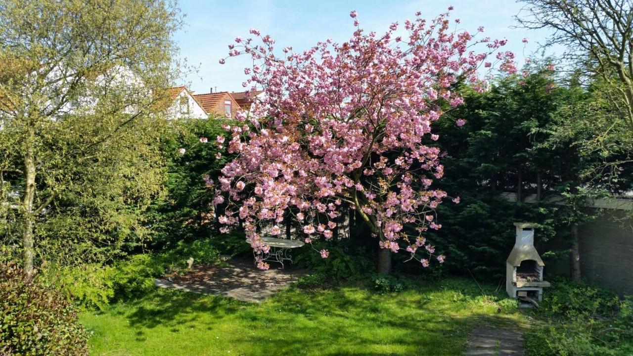 Kapiteinshuis بريسكين المظهر الخارجي الصورة